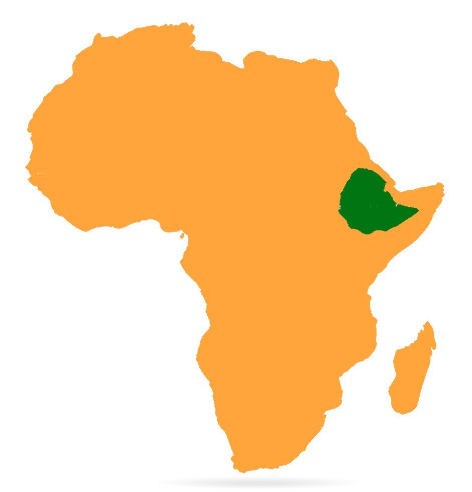 business-opportunities-in-ethiopia-opesh-singh